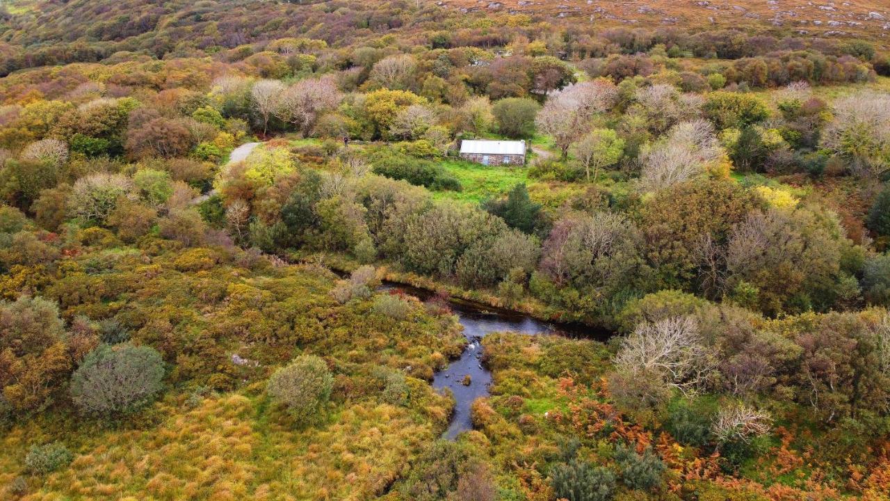 Fernwood Villa Clifden Kültér fotó