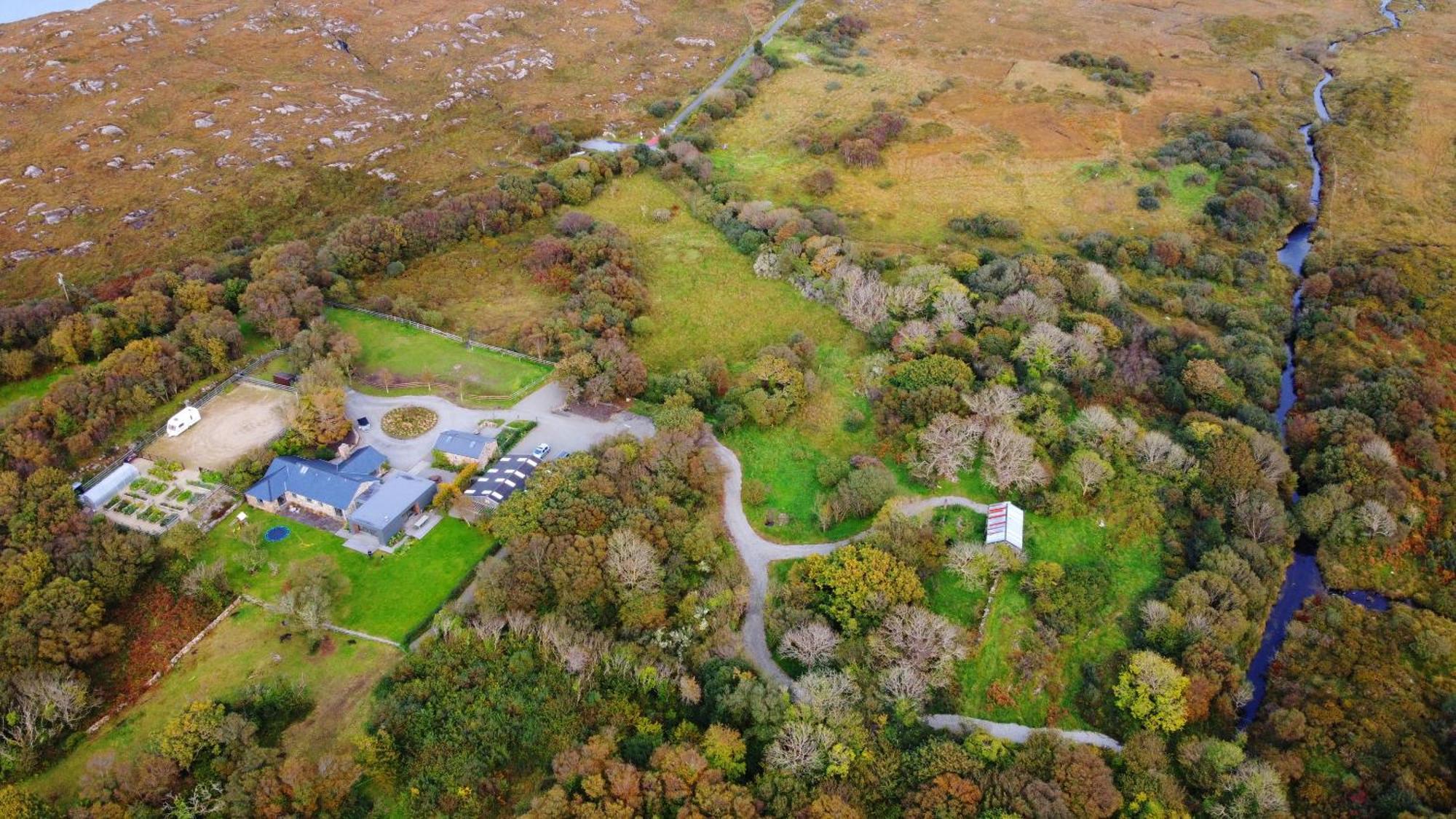 Fernwood Villa Clifden Kültér fotó