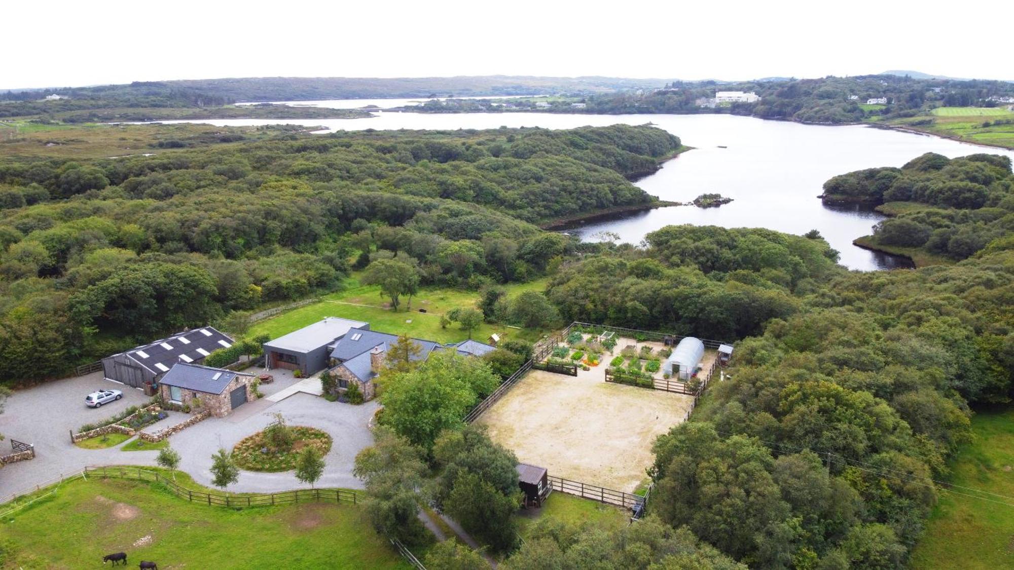 Fernwood Villa Clifden Kültér fotó